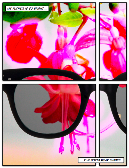 2008-10-03.png
