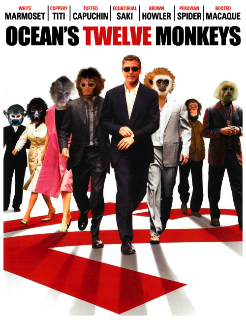 2011-02-25.png